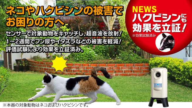 ネコの被害でお困りの方へ