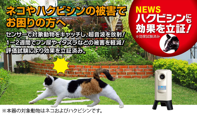 ネコの被害でお困りの方へ